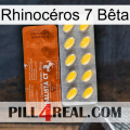 Rhinocéros 7 Bêta 42